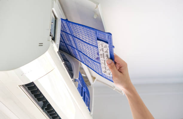 Best Air Duct Mold Removal  in Steele, MO